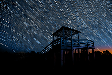 Star Trails